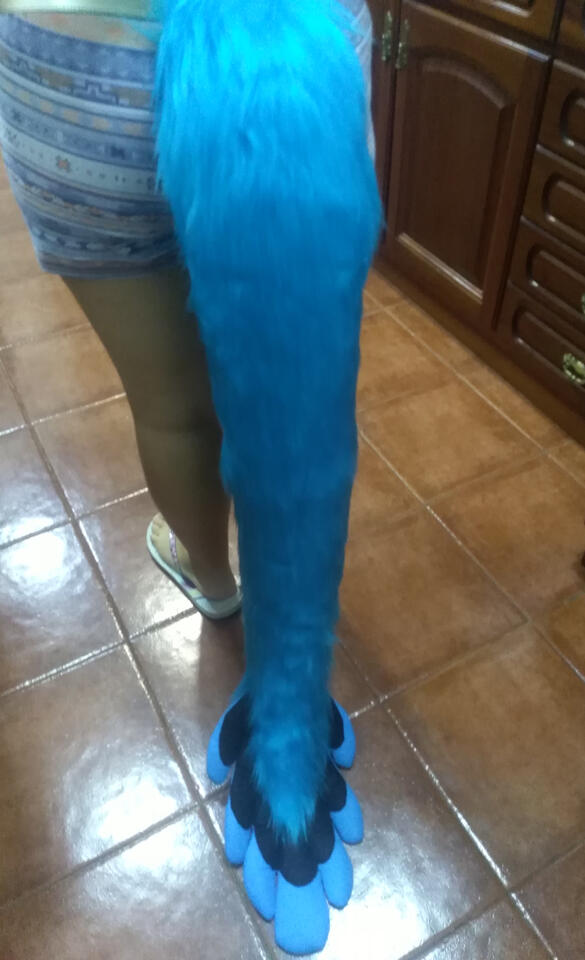 1st tail - October 2019